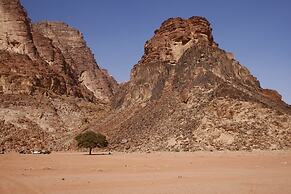 Rashed Awwad Camp With Tour