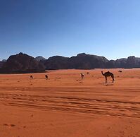 Rashed Awwad Camp With Tour