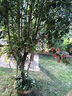 Hotel casas de Campo El Ciruelo