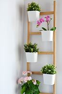 Sitito Cervantes Atico