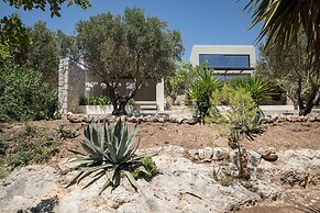 OPENNESS. House by the sea.