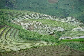 Saigonese Trekking House - Hostel