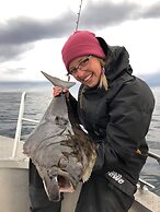 Northern Light Hotell Campsteinfjord