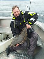 Northern Light Hotell Campsteinfjord