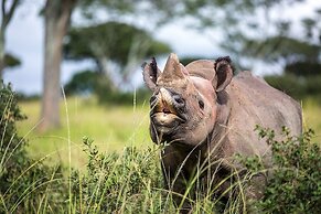 Macheke Lodges & Conference Centre