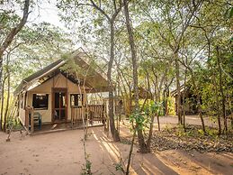 Buffalo Rock Tented Camp