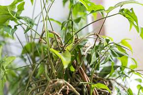 Apartment on 2ya Brestskaya 43