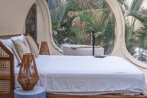 Satori The Bubble Experience Lodge