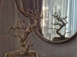 Little Days Boutique Hotel