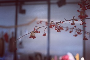 Little Days Boutique Hotel