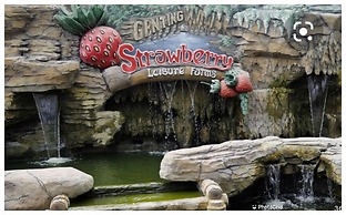 Windmill By Annette Soon