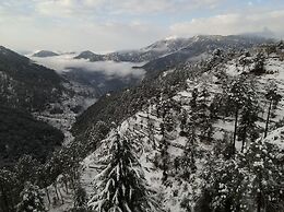 Clarks Exotica Ramgarh