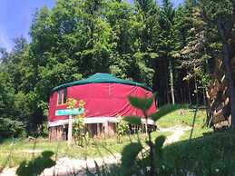 Foxy Camp Insolite
