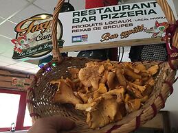Foxy Camp Insolite