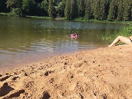 Foxy Camp Insolite