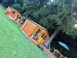 Foxy Camp Insolite