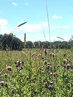 Netherton Farm Lodge