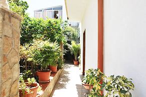 I tre Golfi Tartarughe