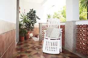 I tre Golfi Tartarughe