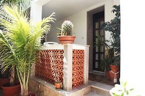 I tre Golfi Tartarughe