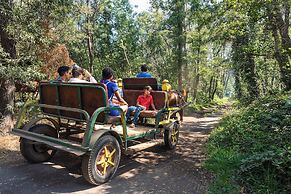 Hotel Salto del Laja