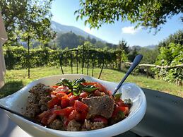 Tenuta Novecento Bio Agriturismo