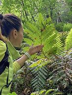 Tenuta Novecento Bio Agriturismo