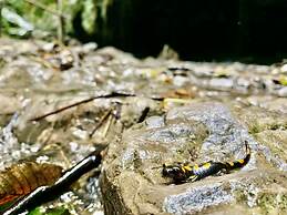 Tenuta Novecento Bio Agriturismo