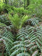 Tenuta Novecento Bio Agriturismo