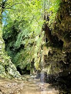 Tenuta Novecento Bio Agriturismo