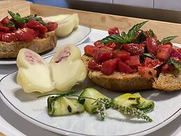 Tenuta Novecento Bio Agriturismo