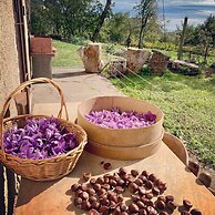 Tenuta Novecento Bio Agriturismo