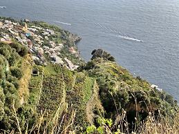 Tenuta Novecento Bio Agriturismo