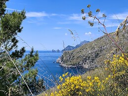 Tenuta Novecento Bio Agriturismo