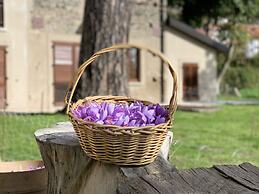 Tenuta Novecento Bio Agriturismo