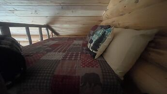 Wrangell Mountain Lodge