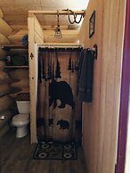 Wrangell Mountain Lodge