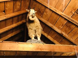 Wrangell Mountain Lodge