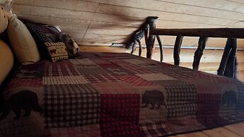 Wrangell Mountain Lodge