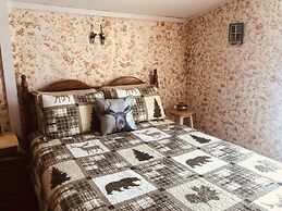 Wrangell Mountain Lodge