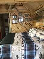 Wrangell Mountain Lodge