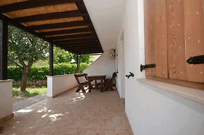 Apartments Radovic Biljana