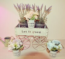 RomAntic Dreams Guest House