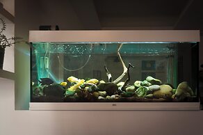 RomAntic Dreams Guest House