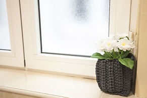 Central & Cosy Apartment