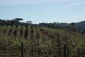 Hotel Vinícola Davo