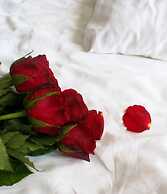 Hotel B&B Ardea Rimini