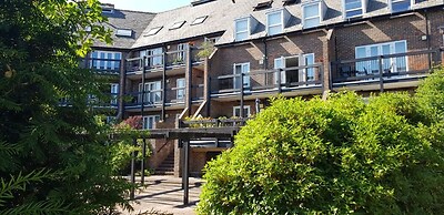 Luxurious & Modern Home