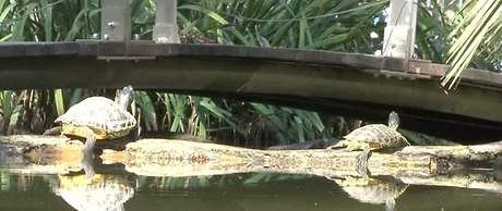 WMC BUSCHMANN Wohnwagenvermietung