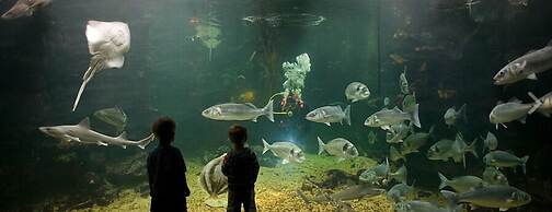 The Trecastell Hotel